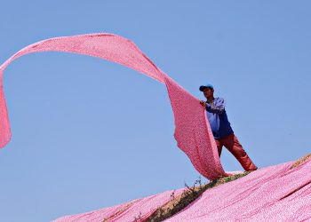 pink, clothes, fabric, drying, worker, textile, pink, fabric, fabric, fabric, fabric, fabric, textile, textile, textile